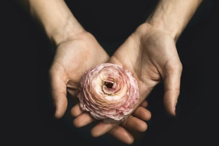 Hände & Rose – HSP Tagung 2023